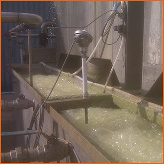 A vegetable washing tank is monitored by a Hycontrol SureSense+ foam probe